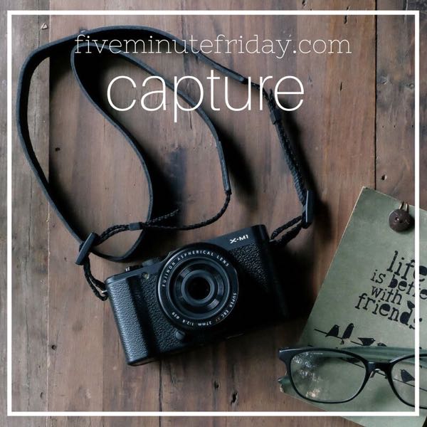Capture - 31 Days of Five Minute Free Writes 